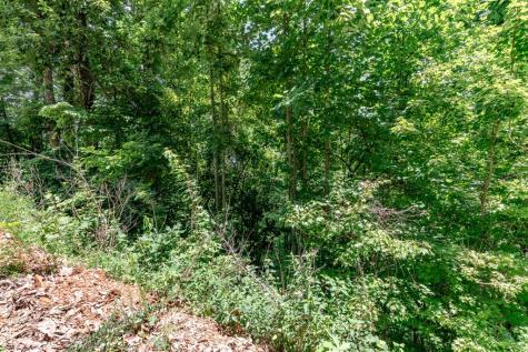 Lot 111c Puett Cove Estates Marble NC 28905