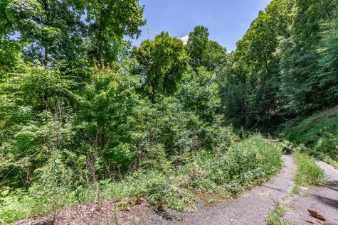Lot 111c Puett Cove Estates Marble NC 28905