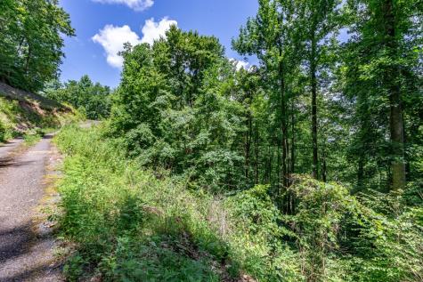 Lot 111c Puett Cove Estates Marble NC 28905