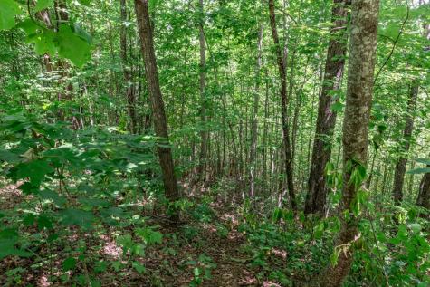 Lot 111c Puett Cove Estates Marble NC 28905