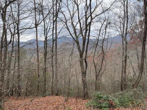 17B Amy Creek Circle Ellijay GA 30540