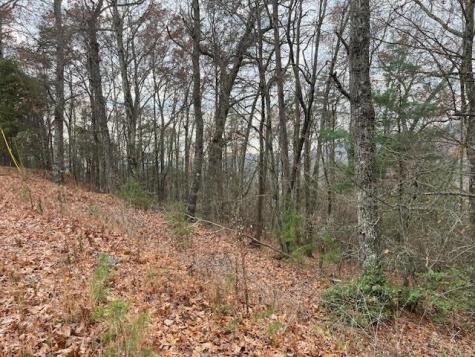 17B Amy Creek Circle Ellijay GA 30540