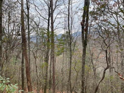 17B Amy Creek Circle Ellijay GA 30540