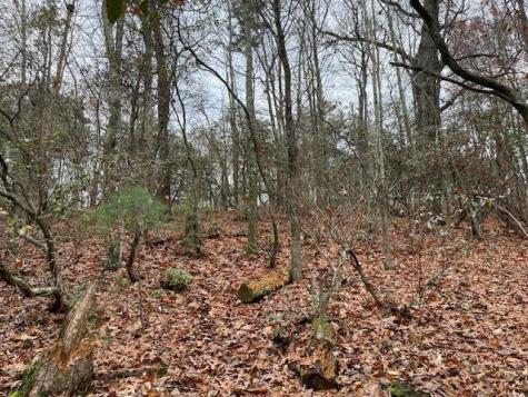 17B Amy Creek Circle Ellijay GA 30540