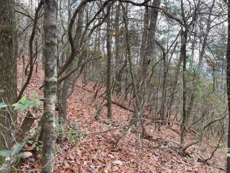 17B Amy Creek Circle Ellijay GA 30540