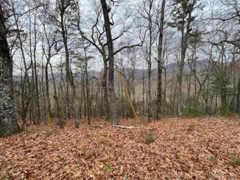 17B Amy Creek Circle Ellijay GA 30540