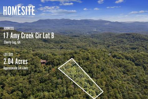17B Amy Creek Circle Ellijay GA 30540