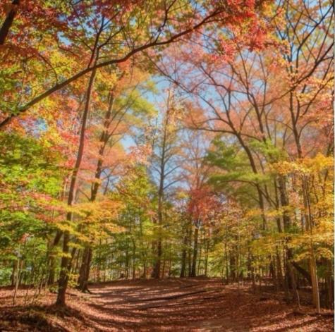 2.06 Ac River Ridge Lane Blue Ridge GA 30513