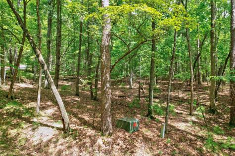 2.06 Ac River Ridge Lane Blue Ridge GA 30513