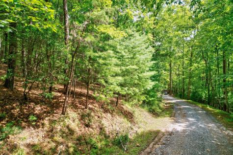 2.06 Ac River Ridge Lane Blue Ridge GA 30513