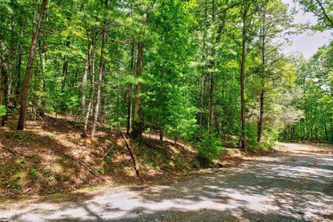 2.06 Ac River Ridge Lane Blue Ridge GA 30513