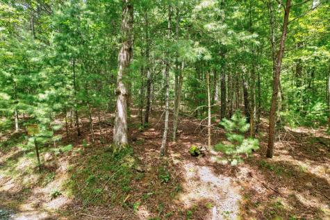 2.06 Ac River Ridge Lane Blue Ridge GA 30513