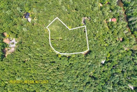 2.06 Ac River Ridge Lane Blue Ridge GA 30513