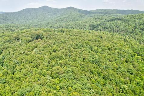 2.06 Ac River Ridge Lane Blue Ridge GA 30513