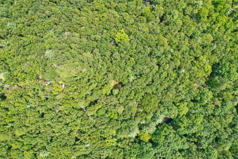 2.06 Ac River Ridge Lane Blue Ridge GA 30513