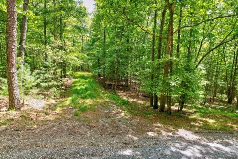 2.06 Ac River Ridge Lane Blue Ridge GA 30513