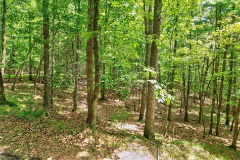 2.06 Ac River Ridge Lane Blue Ridge GA 30513