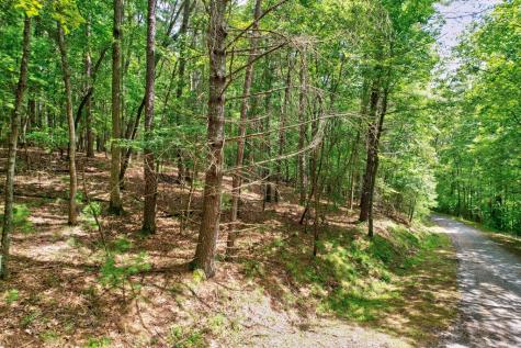 2.06 Ac River Ridge Lane Blue Ridge GA 30513