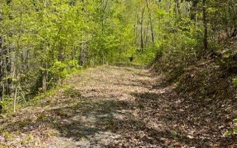 00 Laurel Ridge, Lot 1 Hiawassee GA 30546