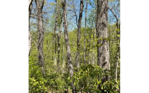 00 Laurel Ridge, Lot 1 Hiawassee GA 30546