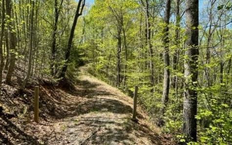 00 Laurel Ridge, Lot 1 Hiawassee GA 30546