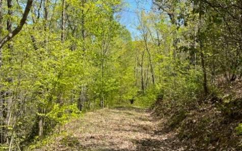 00 Laurel Ridge, Lot 1 Hiawassee GA 30546