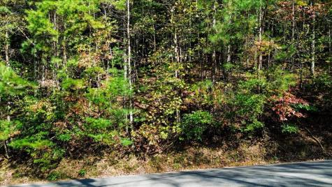 3468 Fir Lane Ellijay GA 30540