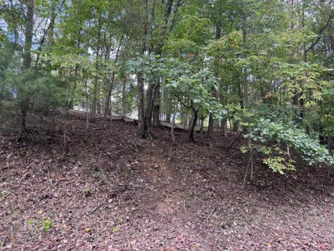 107 Smokerise Drive Hayesville NC 28904
