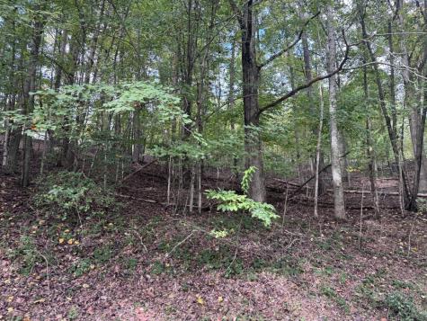 107 Smokerise Drive Hayesville NC 28904