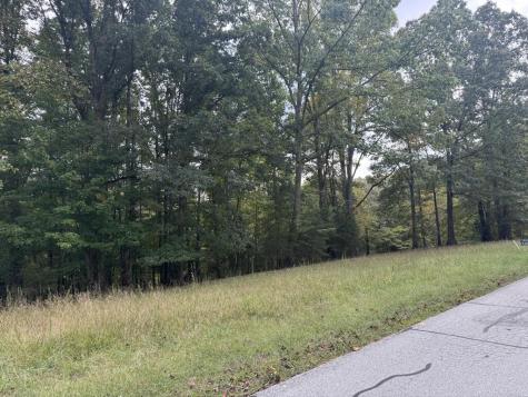 107 Smokerise Drive Hayesville NC 28904