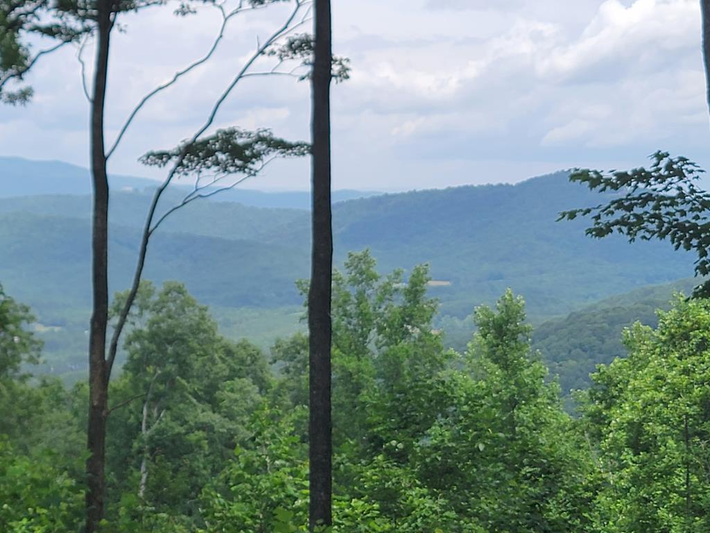 81 Hidden Mountain Murphy NC 26906