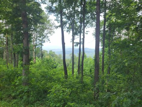 81 Hidden Mountain Murphy NC 26906