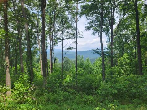 81 Hidden Mountain Murphy NC 26906