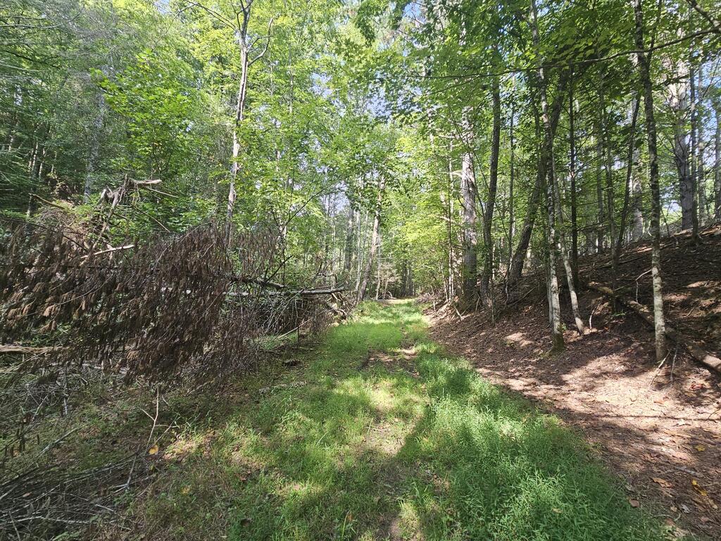 0 Alto Vista Road Murphy NC 28906