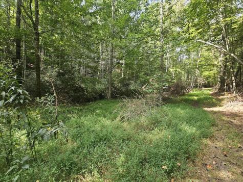0 Alto Vista Road Murphy NC 28906