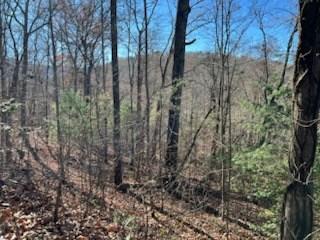 1918 Creekstone Lane Young Harris GA 30582