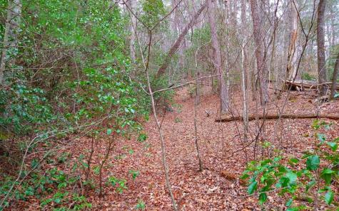 20 Ac Hidaway Drive Ellijay GA 30536