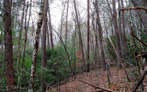 20 Ac Hidaway Drive Ellijay GA 30536