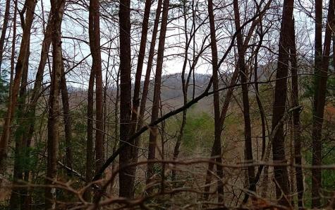 20 Ac Hidaway Drive Ellijay GA 30536