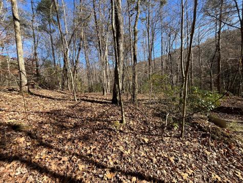 20 Ac Hidaway Drive Ellijay GA 30536