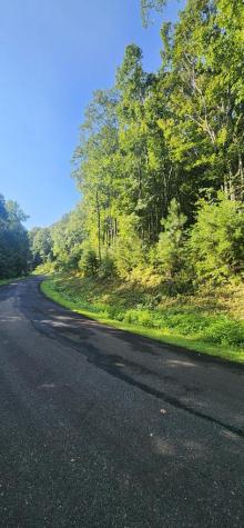 L176 Trailwood Drive Ellijay GA 30536