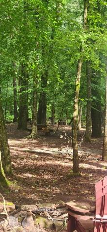 L176 Trailwood Drive Ellijay GA 30536