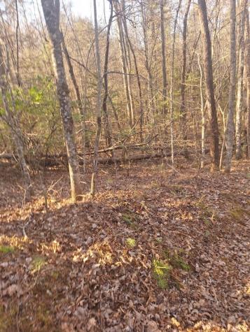 Lots Bent Wood Lane Blue Ridge GA 30513