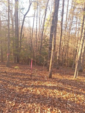 Lots Bent Wood Lane Blue Ridge GA 30513