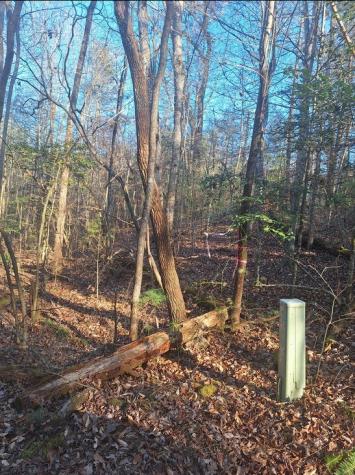 Lots Bent Wood Lane Blue Ridge GA 30513