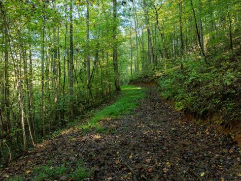 Lot 18 Wilderness Way Ellijay GA 30536