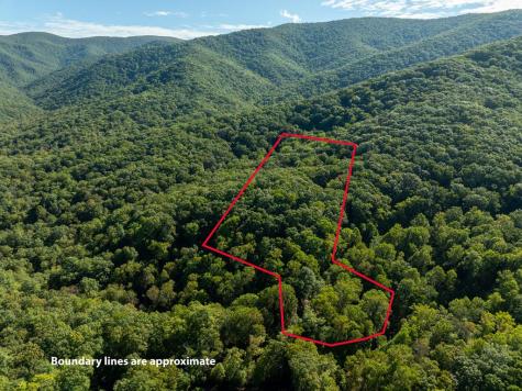 Lot 18 Wilderness Way Ellijay GA 30536