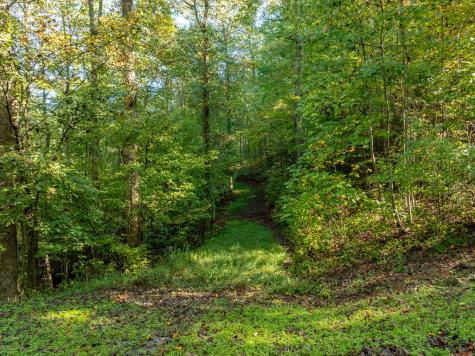 Lot 18 Wilderness Way Ellijay GA 30536