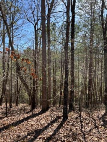 Lt 4 Hunter Ridge Ellijay GA 30540