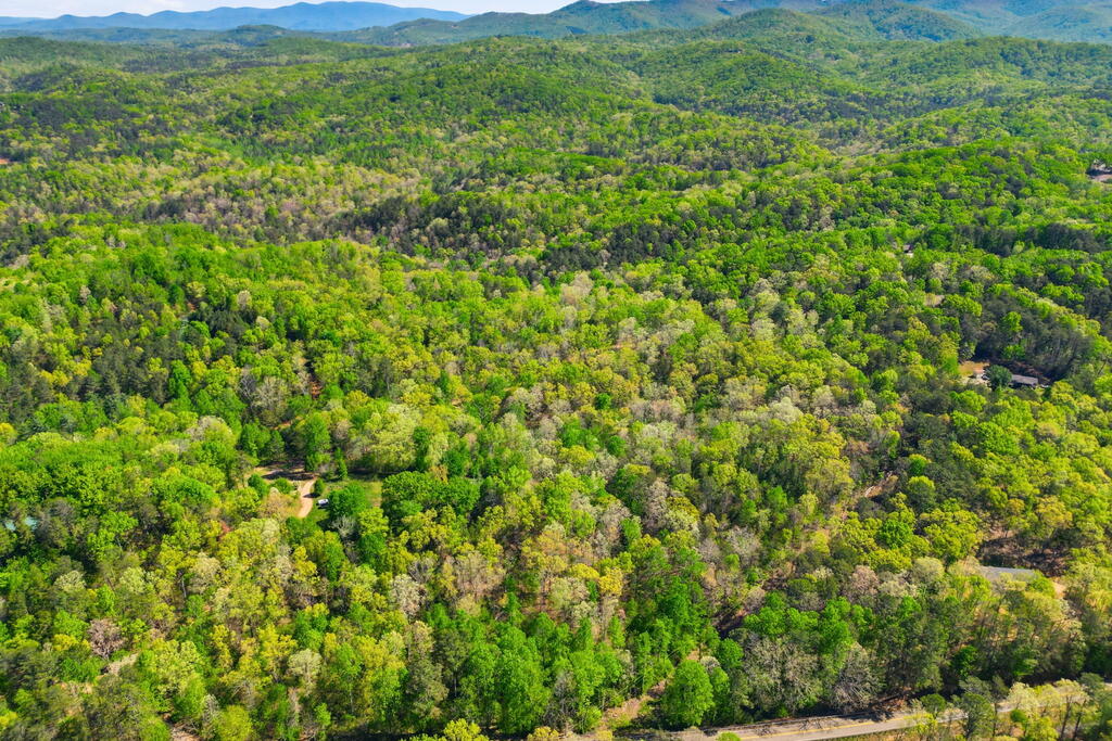 1933 W Highway 136 Talking Rock GA 30175